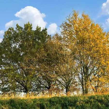 Sj320-aabenraa-golfsvinget-40 * Løjt Kirkeby